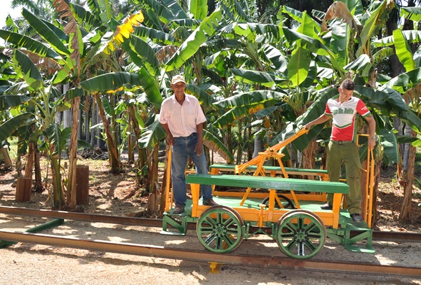 Cigüeña para turistas en Rancho Palma