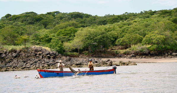 pescadores rodeados de pelícanos en el Golfo