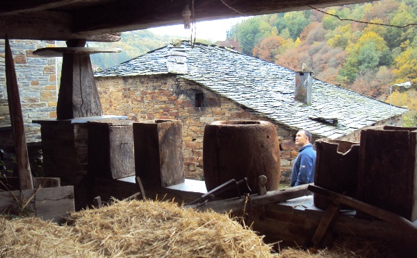 hórreo con espigas colgadas en Ferreirela horreo
