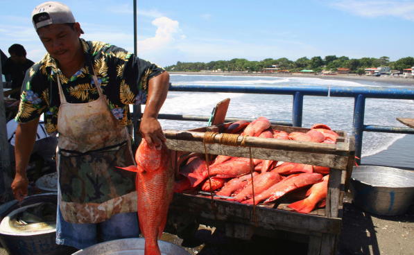 bocas-coloradas en La Libertad