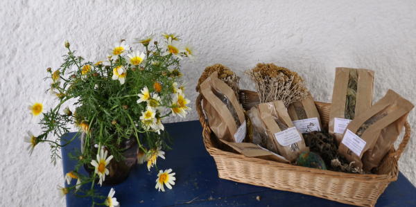 tienda de Vassalos en Lagkada