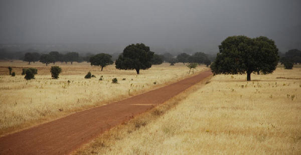 un paisaje muy especial