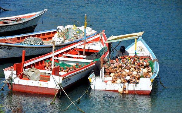 pescadores