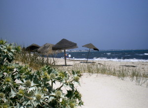 playa de Mahdia, en Túnez