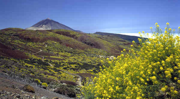 Teide