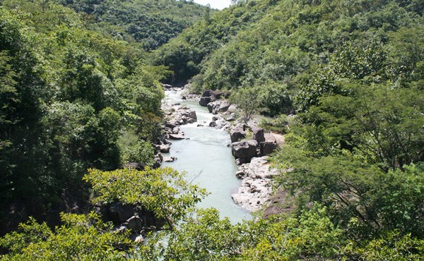 Naturaleza virgen a orillas del río Sapo sapo