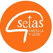 setas_cyl