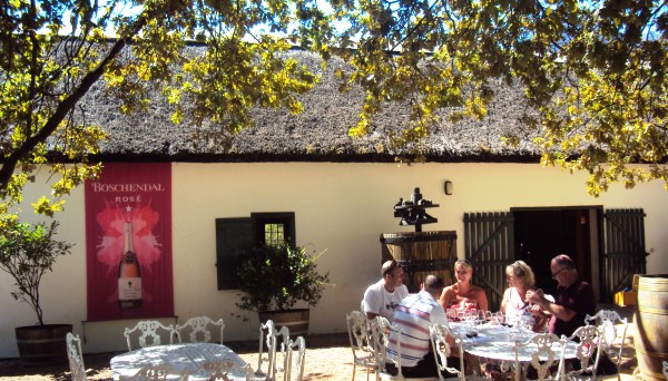 una cata de vinos sudafricanos a la sombra de una encina