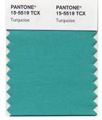 Pantone15-5519