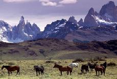 La Patagonia, Argentina