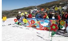 SierraNevada.Primavera