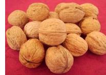 Nueces de California