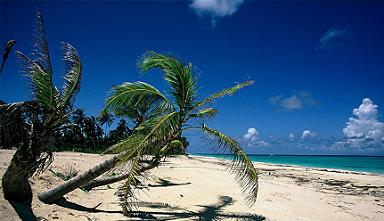 Playa dominicana