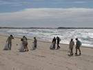 Recogiendo basura en la playa